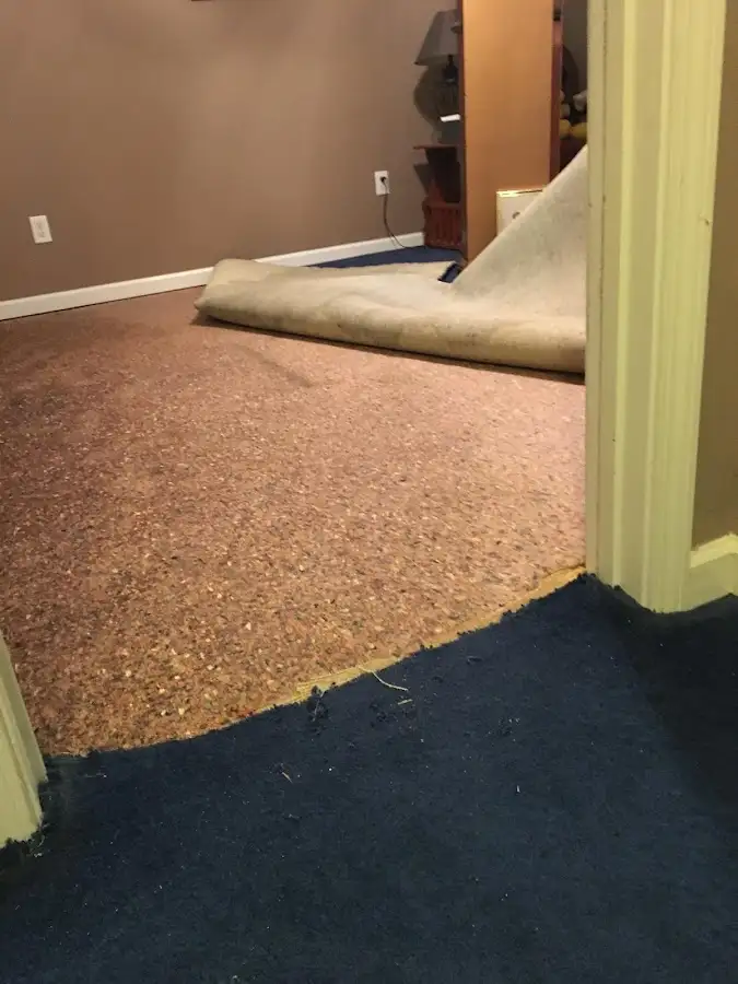 Carpet pad removal revealing water damage during Drying & Dehumidification in Kailua-Kona