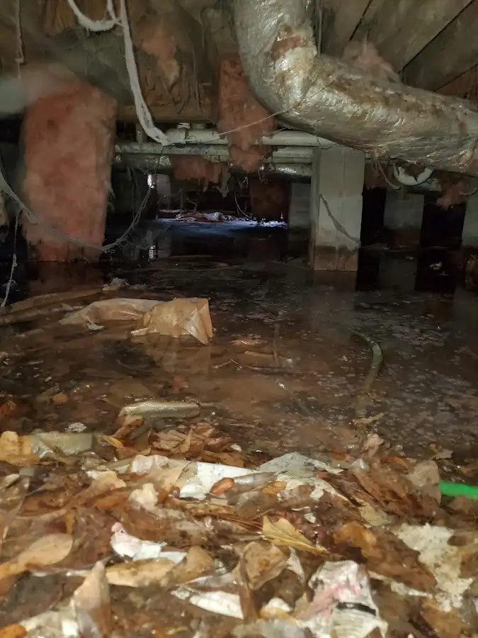 Crawl space flood assessment for Leak Detection & Repair in Kailua-Kona